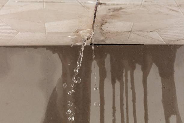 Professional Burst Pipe Cleanup technician working in North Lewisburg, OH
